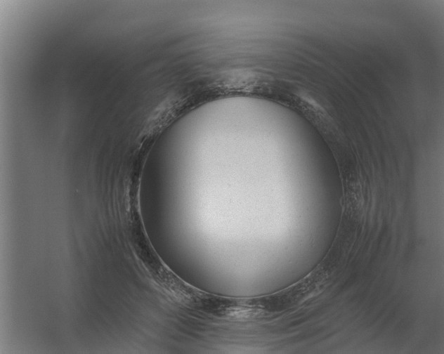 X0000059810504200511041657