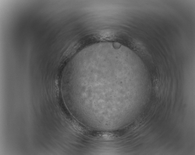 X0000059810506200511041657