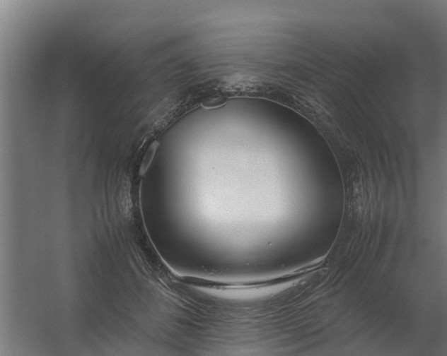 X0000059810508200511041657