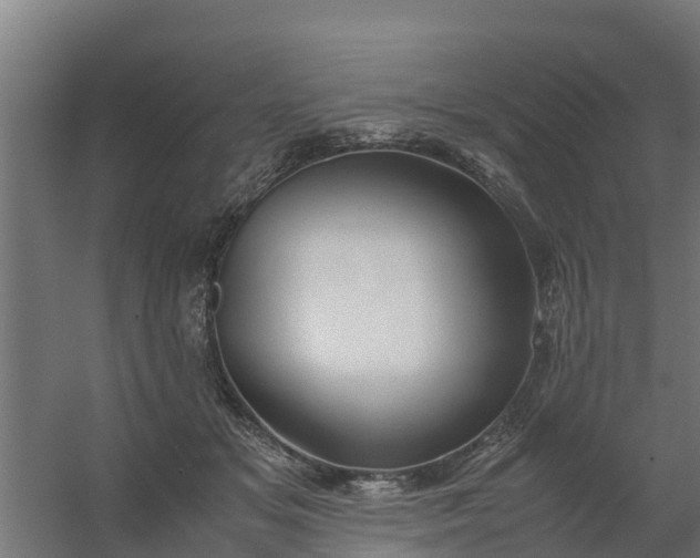 X0000059810509200511041657