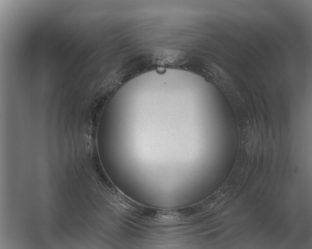 X0000059810510200511041657