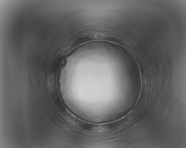 X0000059810511200511041657