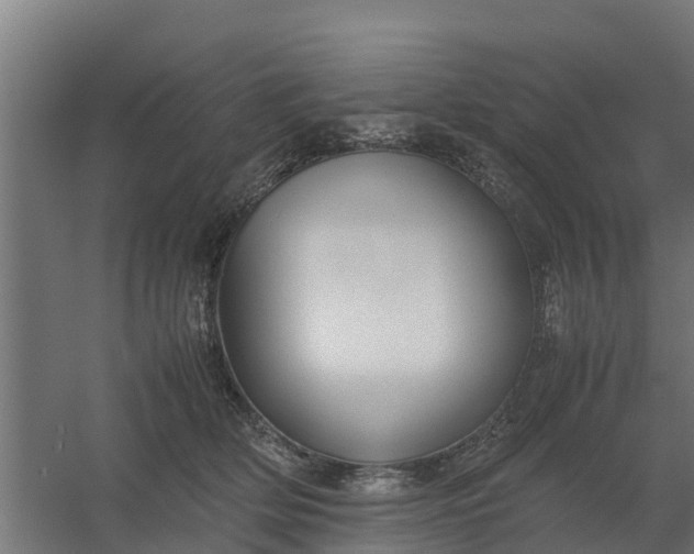 X0000059810514200511041657