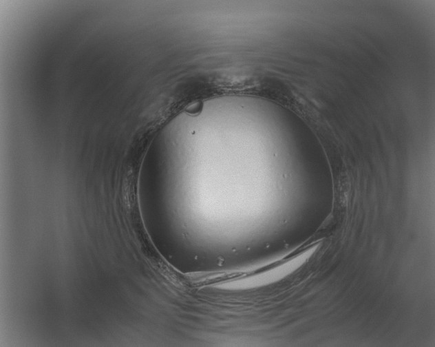 X0000059810515200511041657