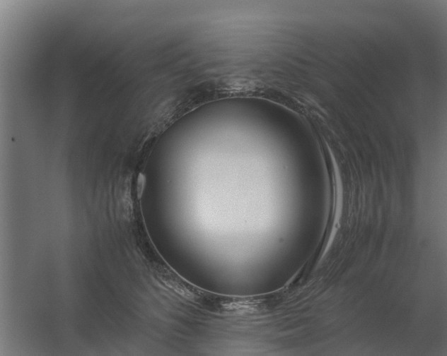 X0000059810516200511041657