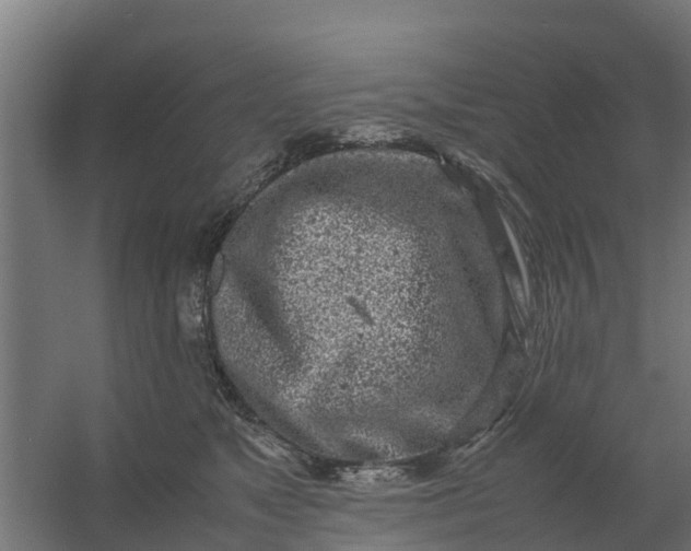 X0000059810517200511041657