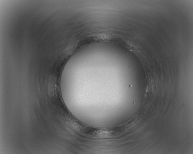 X0000059810518200511041657