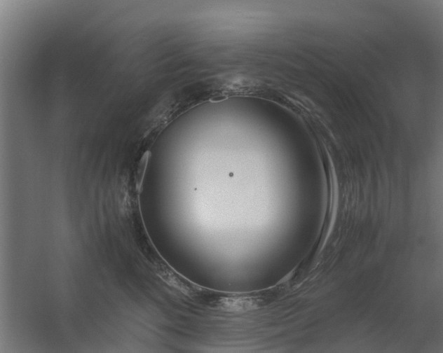 X0000059810520200511041657