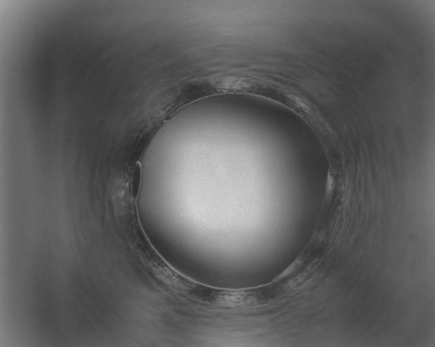 X0000059810521200511041657