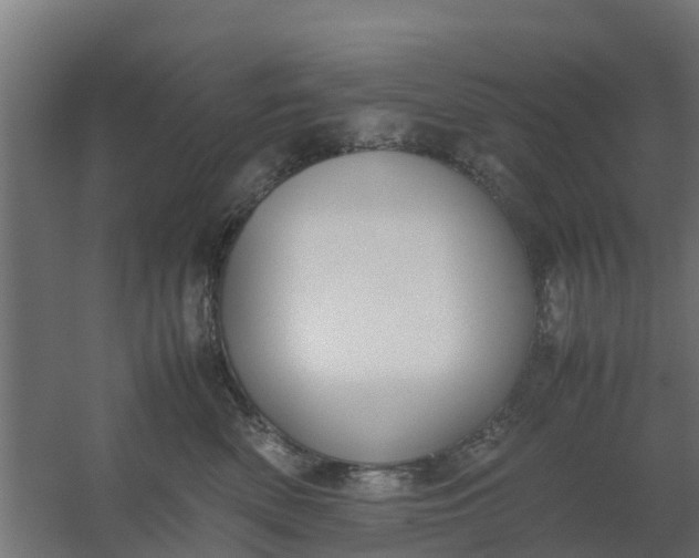 X0000059810522200511041657