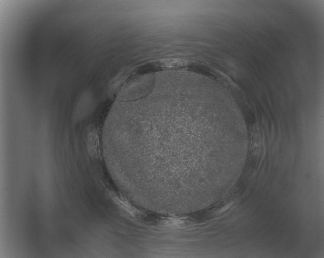 X0000059810523200511041657