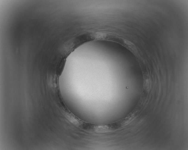 X0000059810525200511041657