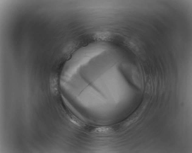 X0000059810526200511041657