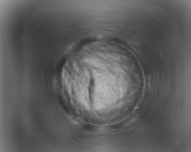 X0000059810527200511041657