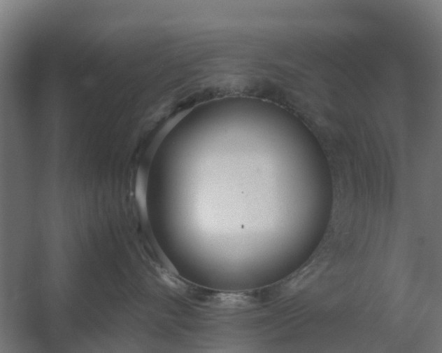 X0000059810528200511041657