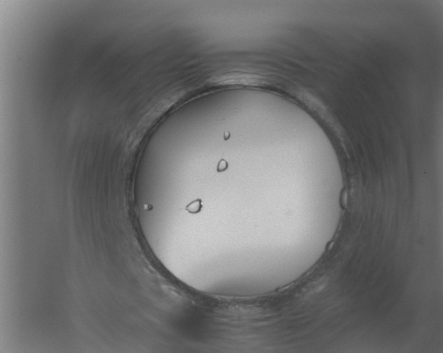 X0000059810529200511041656