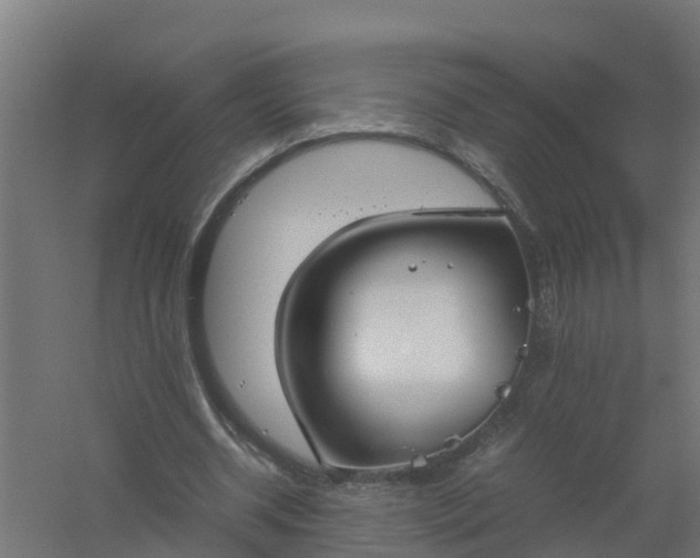 X0000059810534200511041656