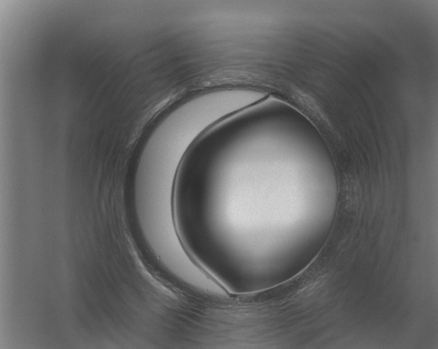 X0000059810538200511041656