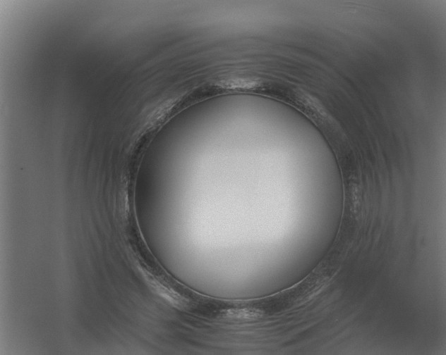 X0000059810541200511041656