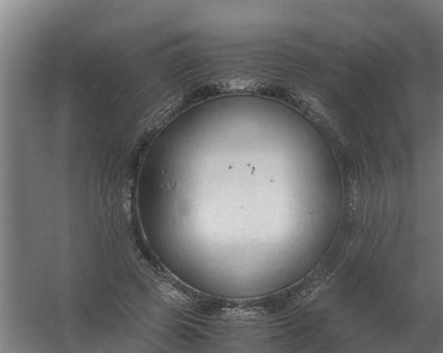 X0000059810545200511041656