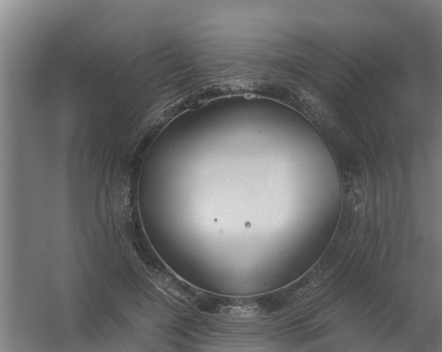 X0000059810548200511041656