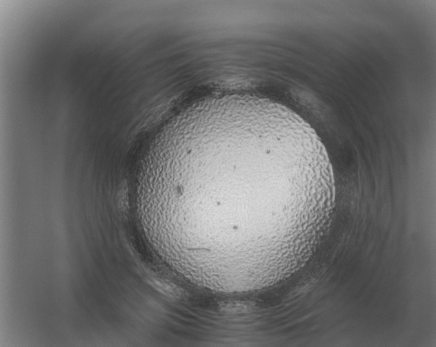 X0000059810549200511041656