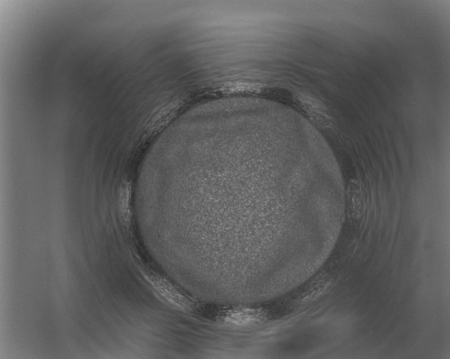 X0000059810550200511041656