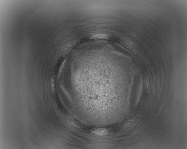 X0000059810551200511041656