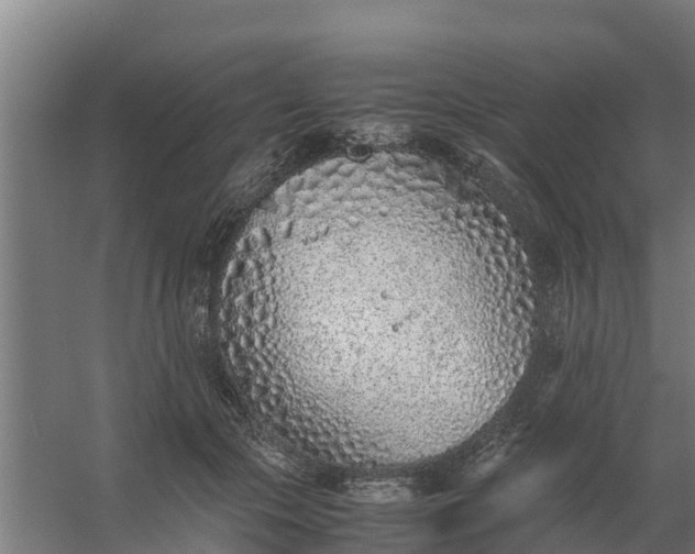 X0000059810553200511041656