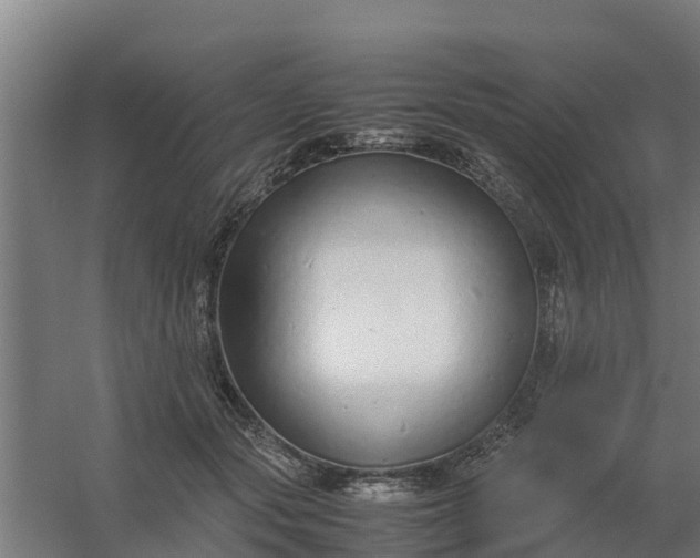 X0000059810557200511041656