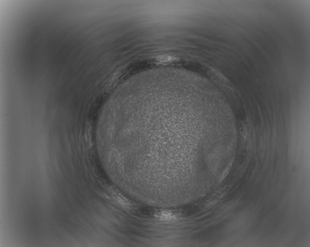 X0000059810565200511041656