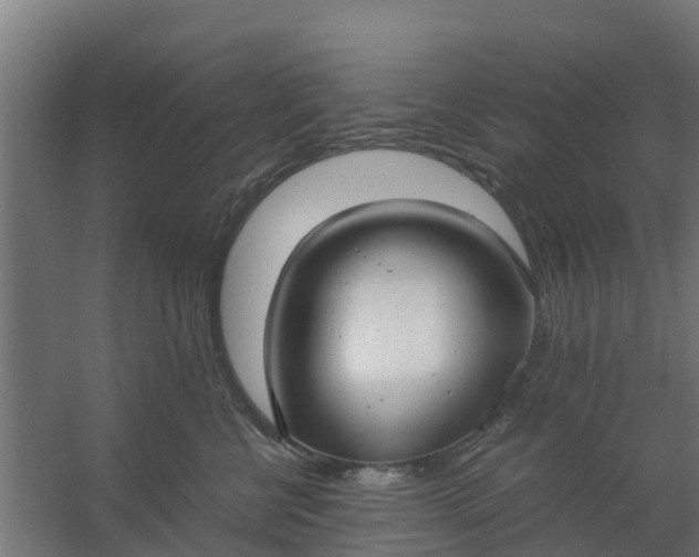 X0000059810570200511041656