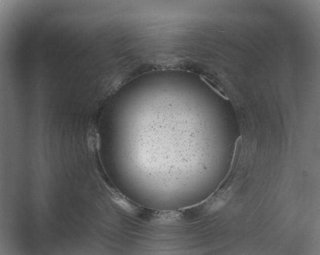 X0000059810576200511041657