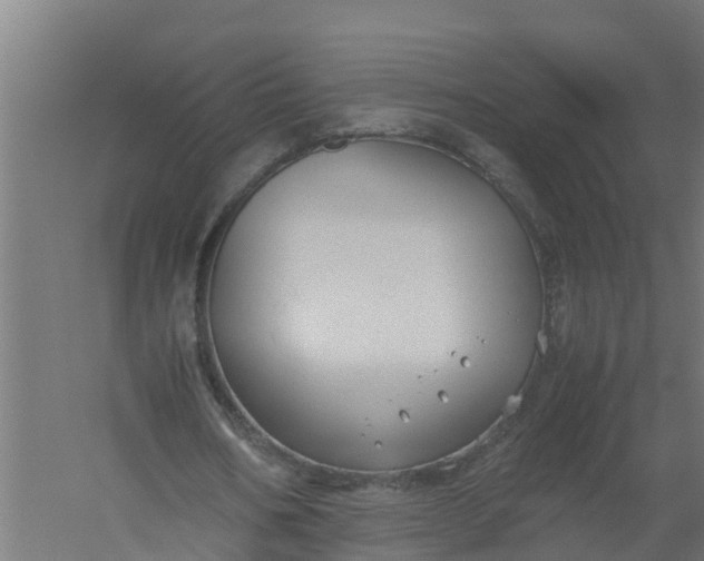 X0000059810578200511041656