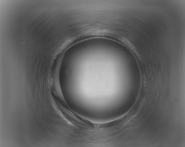 X0000059810581200511041656