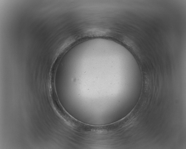 X0000059810582200511041656