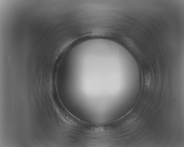 X0000059810588200511041656