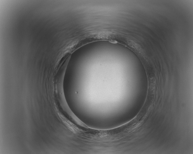 X0000059810589200511041656