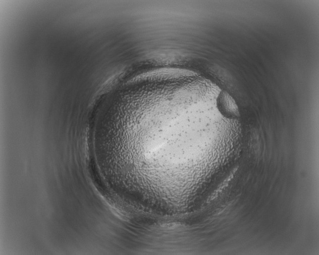 X0000059810590200511041655