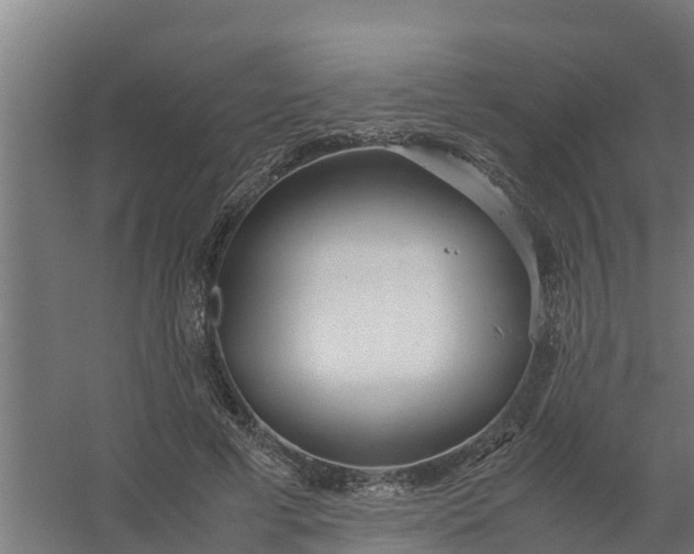 X0000059810593200511041655