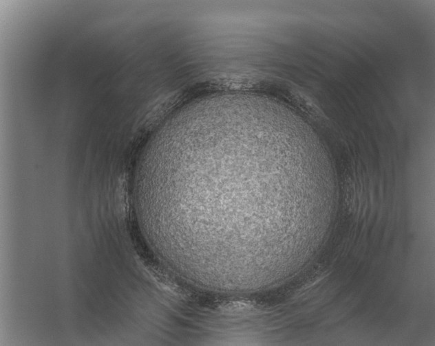 X0000059810594200511041655