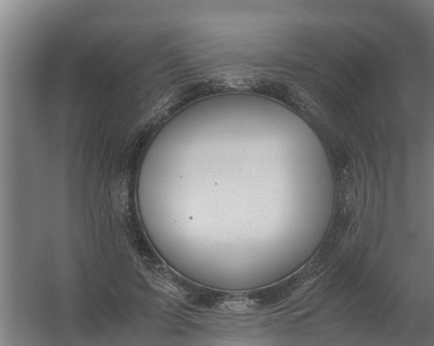 X0000059810595200511041655