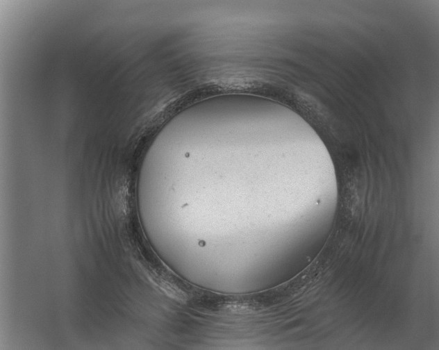 X0000059810596200511041655