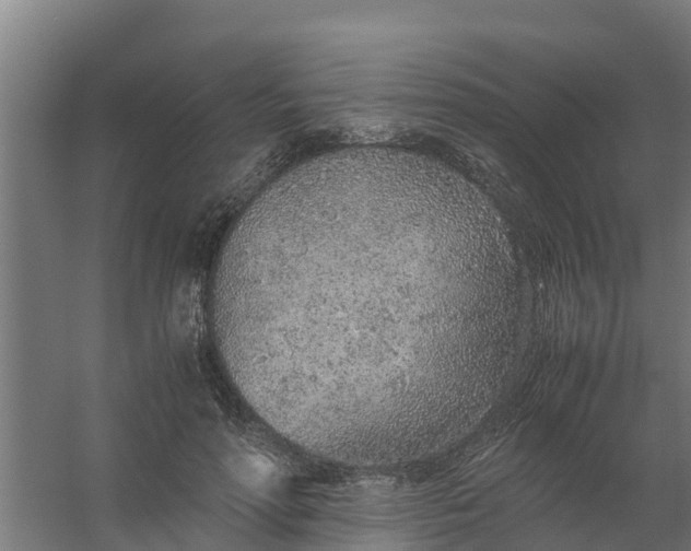 X0000059810598200511041655