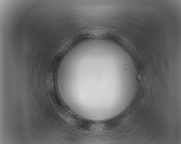 X0000059810599200511041655