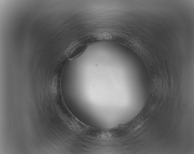 X0000059810600200511041655