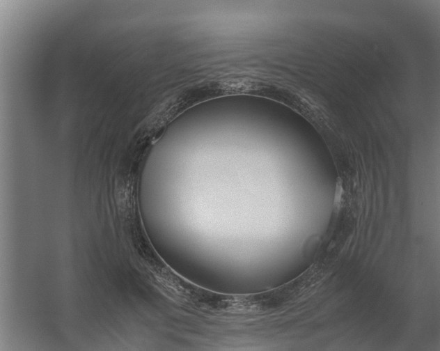 X0000059810601200511041655