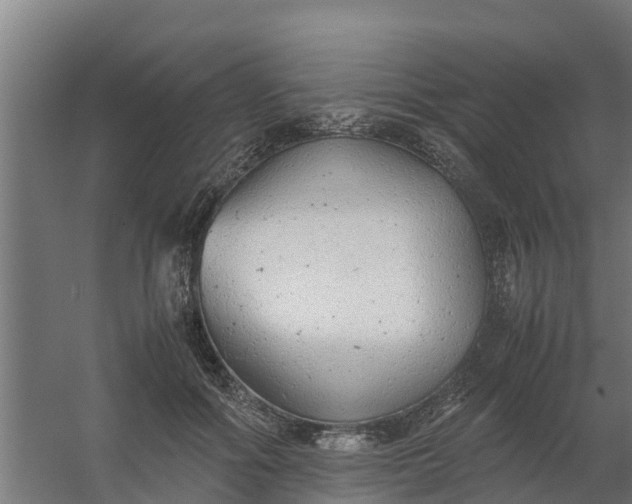 X0000059810602200511041655