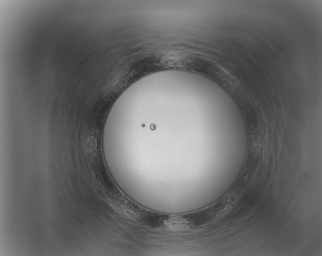 X0000059810603200511041655