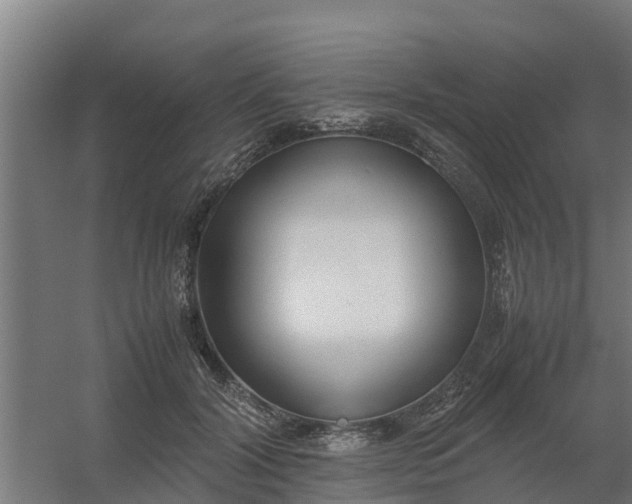 X0000059810604200511041655